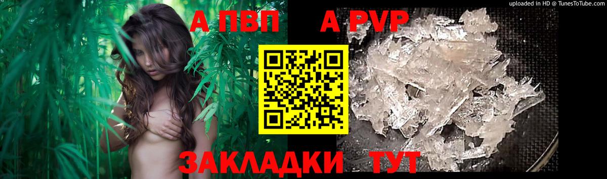А ПВП СК КРИС Новокузнецк